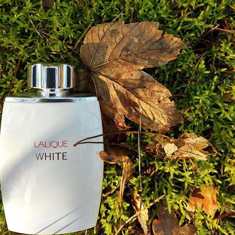 Nước hoa nam Lalique White 125ml
