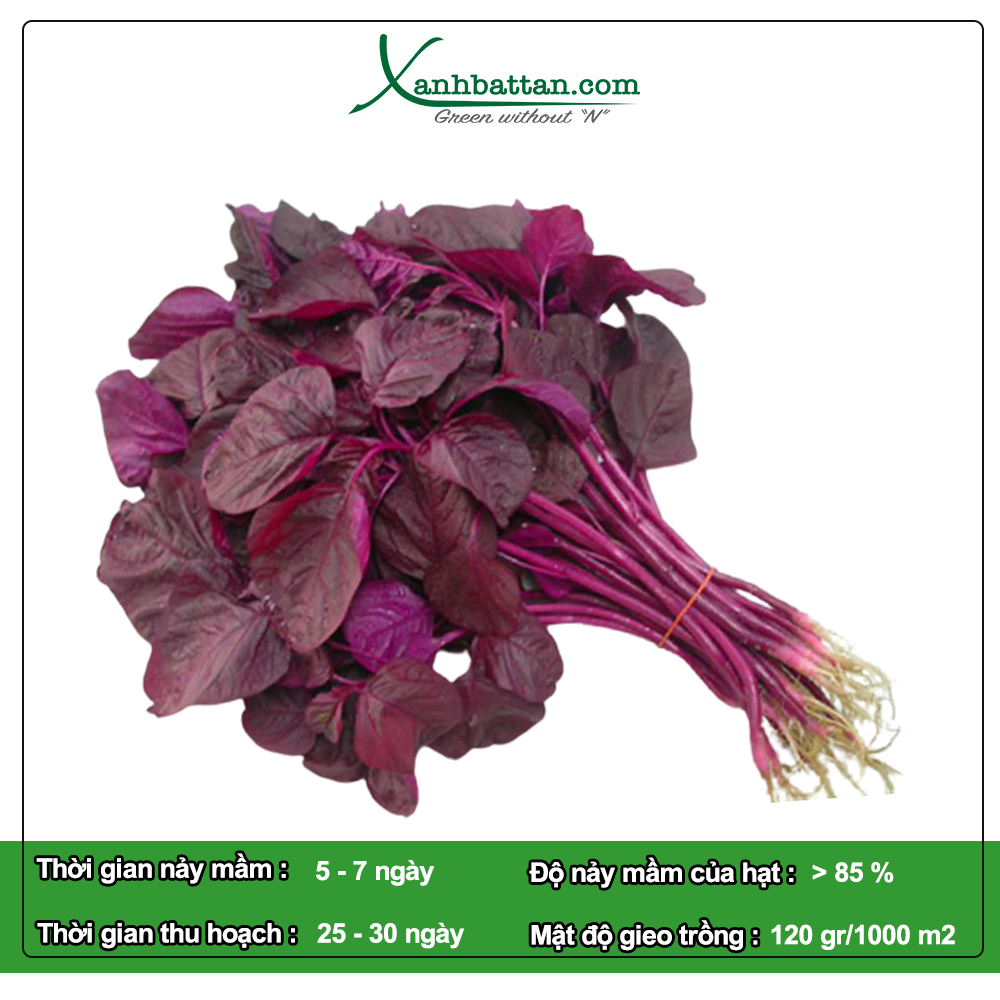 Hạt Giống Rau Dền Đỏ Phú Nông Gói 20 Gram
