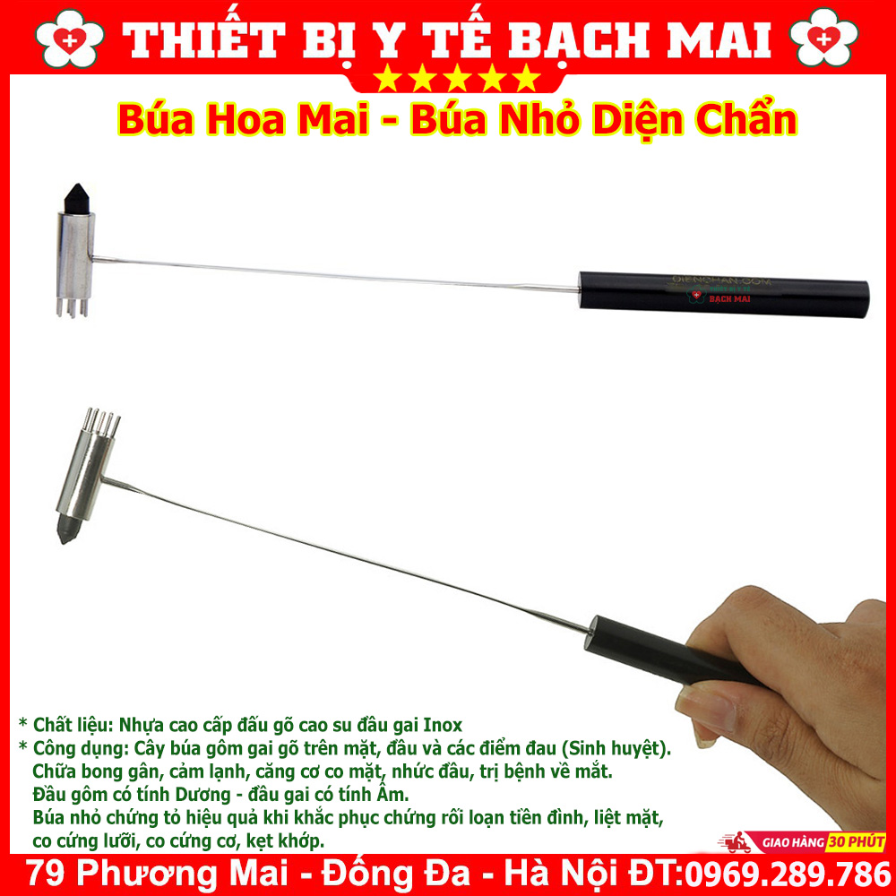 Búa nhỏ diện chẩn - búa mai hoa - búa gôm gai