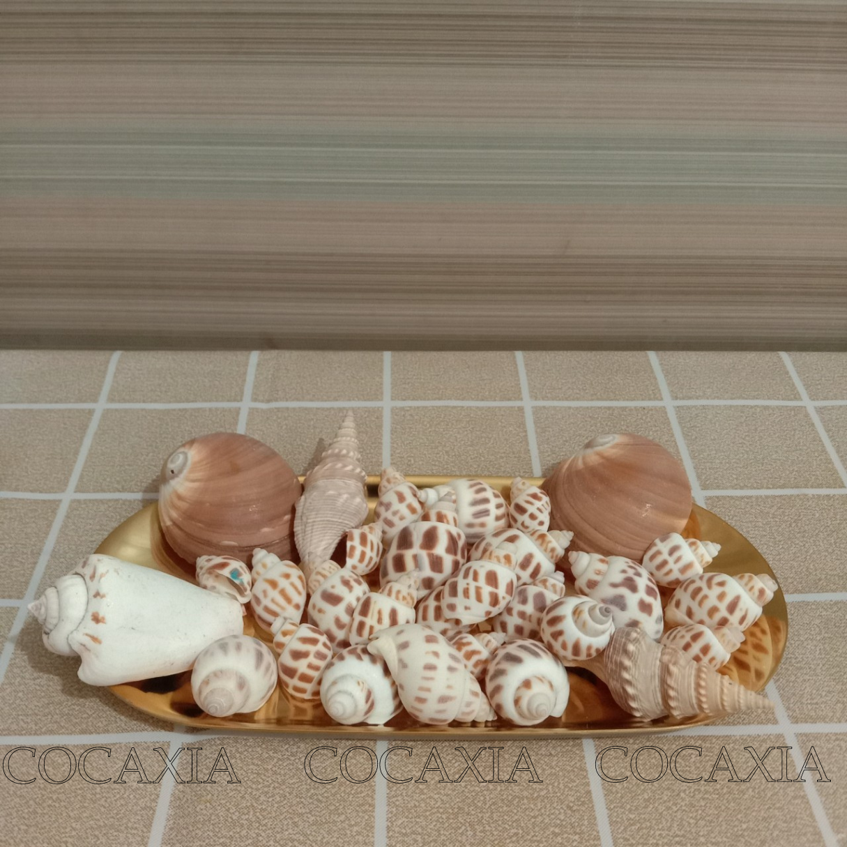 Handmade decorative sea shell, Gravel