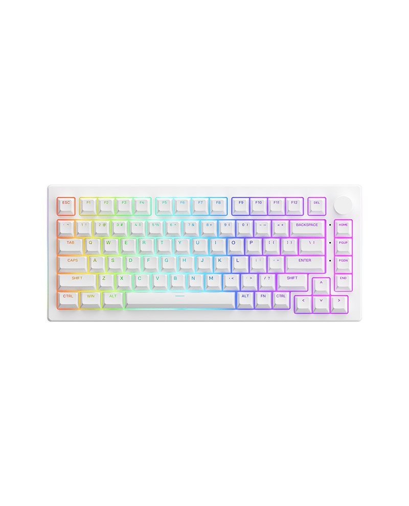 Akko 5075b plus mechanical keyboard White (multi-moment/RGB/gasket mount) -authentic