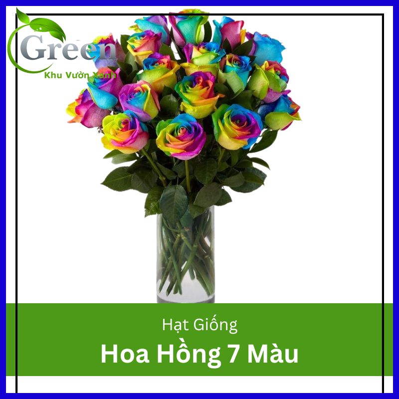 Hạt Giống Hoa Hồng 7 Màu (Gói 20 hạt)