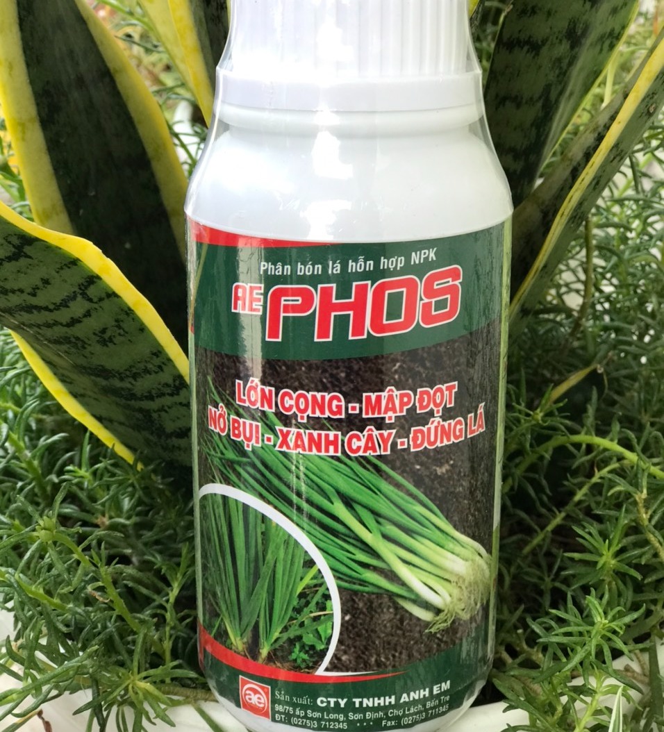 phân bón lá cao cấp nở bụi hành AE PHOS 500ml