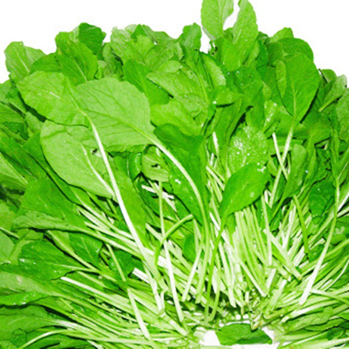 20gr Hạt Giống Cải Trắng Ăn Non