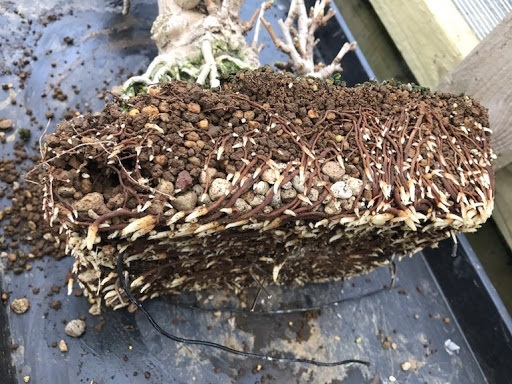 Đá Akadama ( túi 0.5kg) dùng trồng sen đá, bonsai, bể thủy sinh