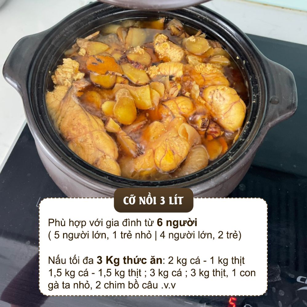 Nồi đất nấu bếp từ cỡ 2 - 3 lít (Men sứ nâu) NodaCook Bát Tràng
