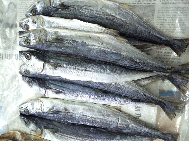 Giá cá thu đông lạnh - Khô cá Thu Thơm Ngon Màu trắng Nguyên Con Giàu dĩnh  dưỡng - Cam kết chất lượng 100 tự nhiên -200g - MixASale