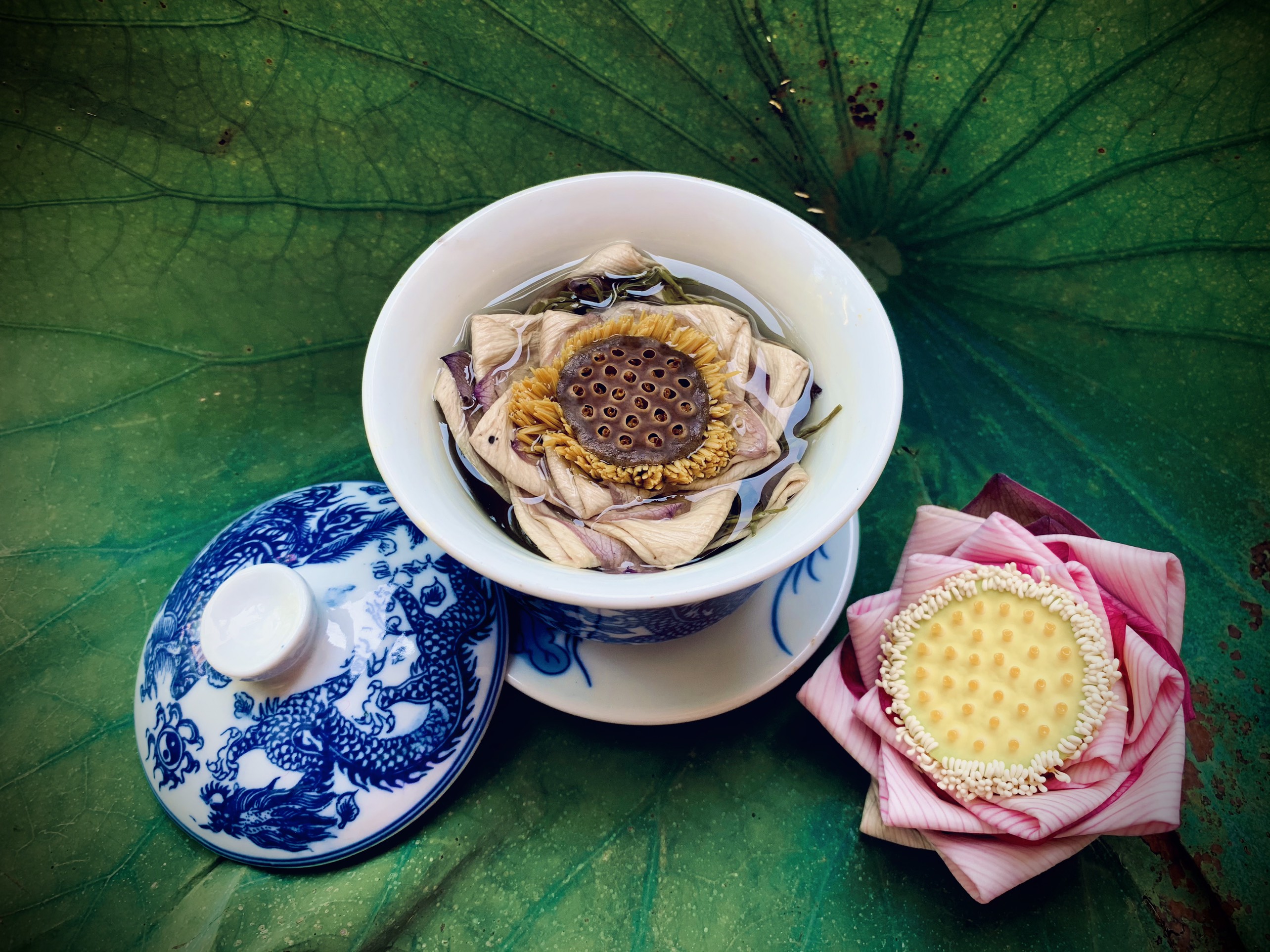 Trà Hoa Sen Hồng nguyên bông (sấy lạnh),