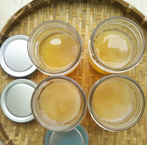 Nấm SCOBY làm trà Kombucha