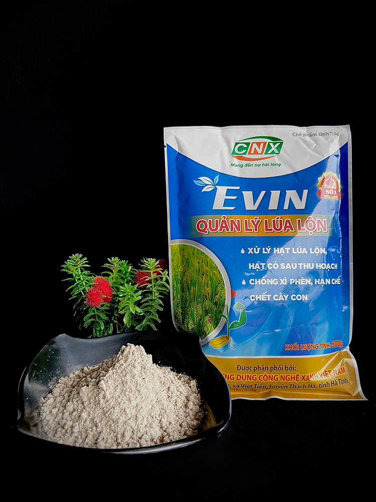 Chế phẩm sinh học EVIN quản lý lúa ma, lúa lộn, lúa 2 tầng, lúa cơi hiệu quả, an toàn, giúp ra rễ mạnh  - CNX 500G