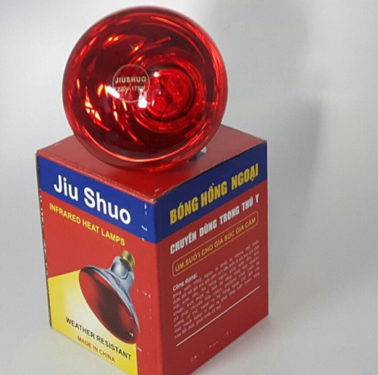 Bóng đèn hồng ngoại sưởi thú y công suất 200W