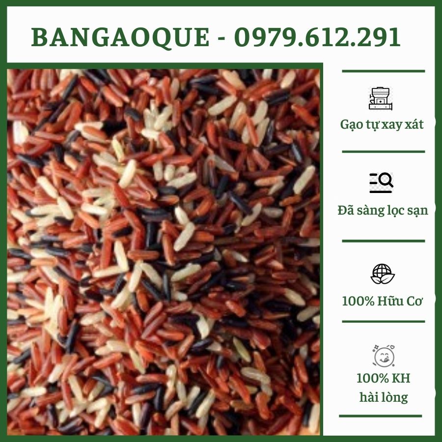 1Kg Gạo Lứt Tam Sắc - Gạo Lứt Đen, Huyết Rồng, Lứt Trắng Hữu Cơ