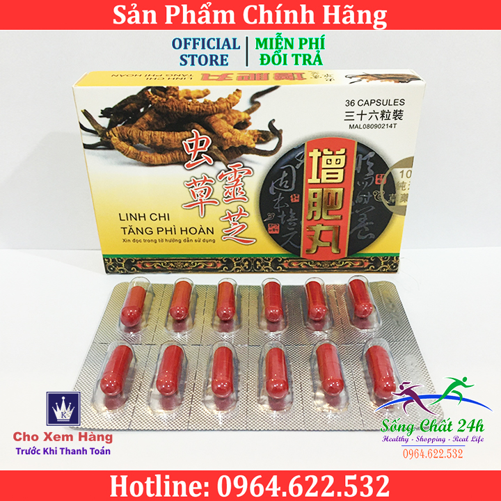 Viên uống tăng cân malaysia linh chi tăng phì hoàn hộp 36 viên - sống chất 24h