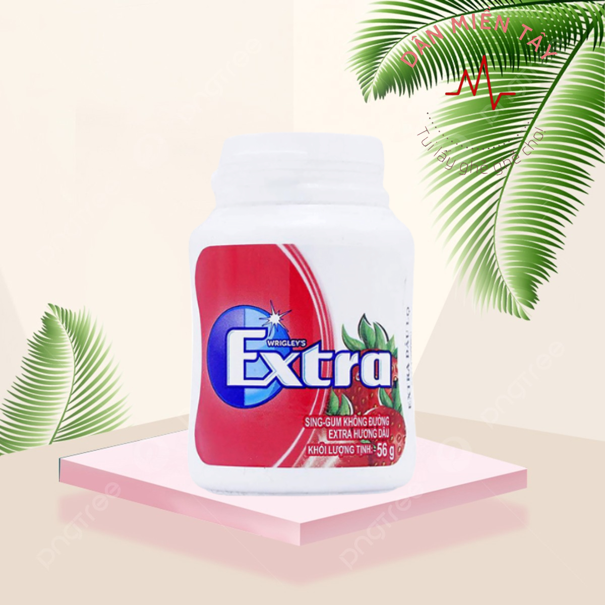 Hủ Kẹo Singum Không Đường Extra CoolAir – Hơi Thở Thơm Mát, Tự Tin Giao Tiếp