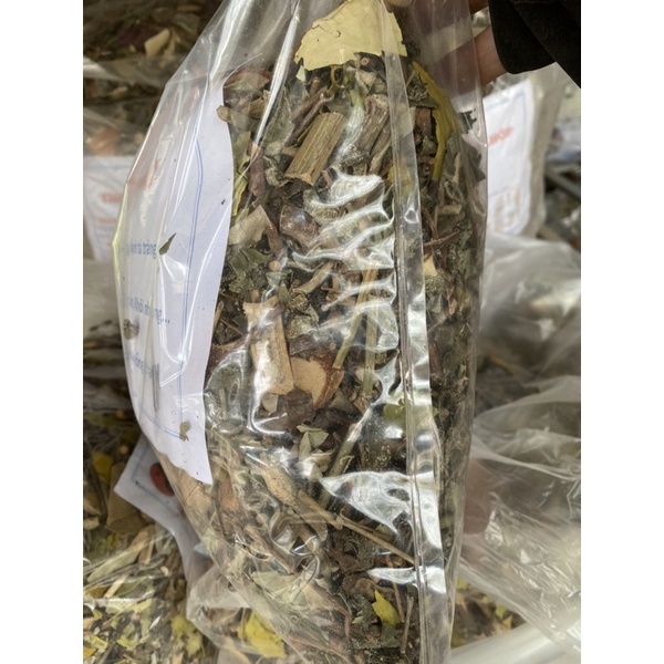lá dạ dày dân tộc