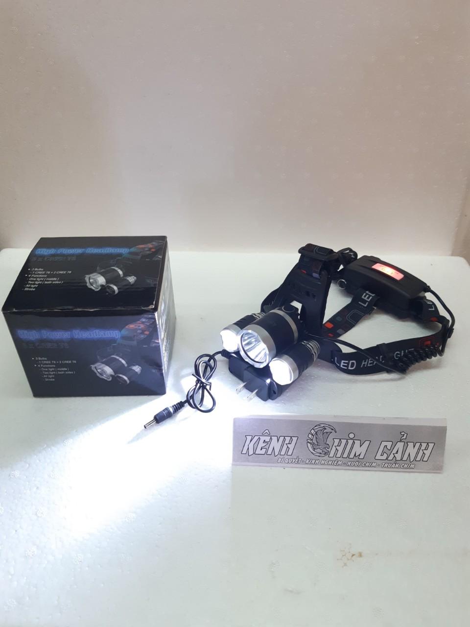 đèn pin đội đầu 3x-Kênh Chim Cảnh
