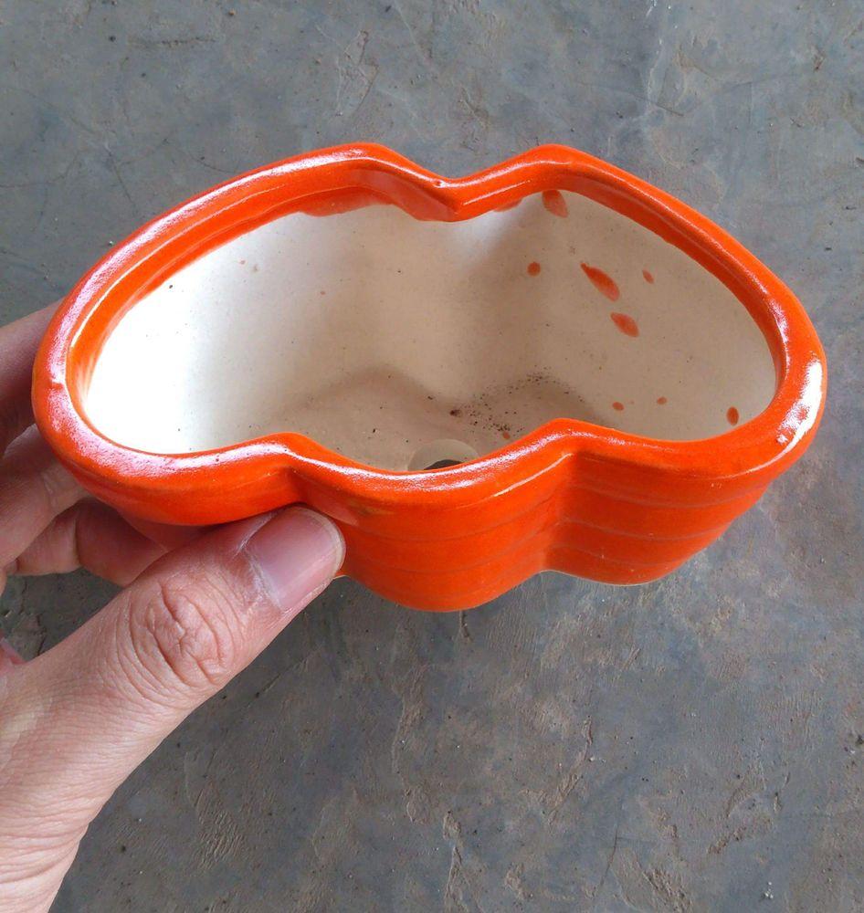 Chậu trồng cây cảnh: Mẫu sứ tim đôi