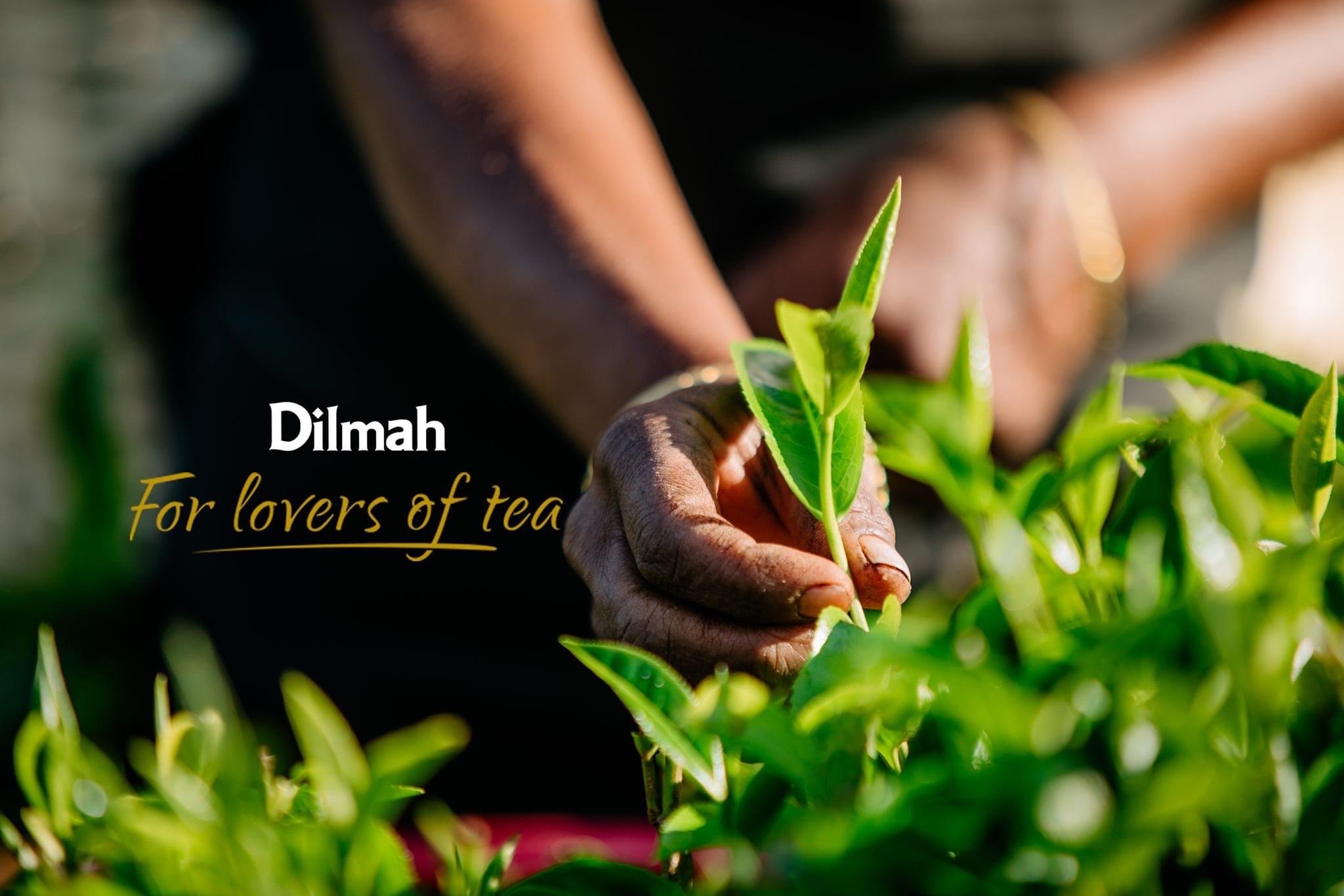 Trà Dilmah Hương Chanh Dây 30g