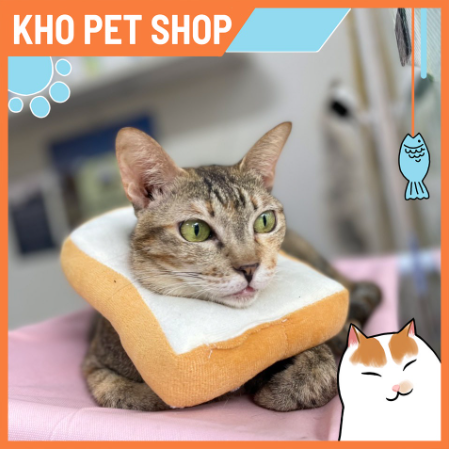 Vòng chống liếm bánh mỳ cho thú cưng