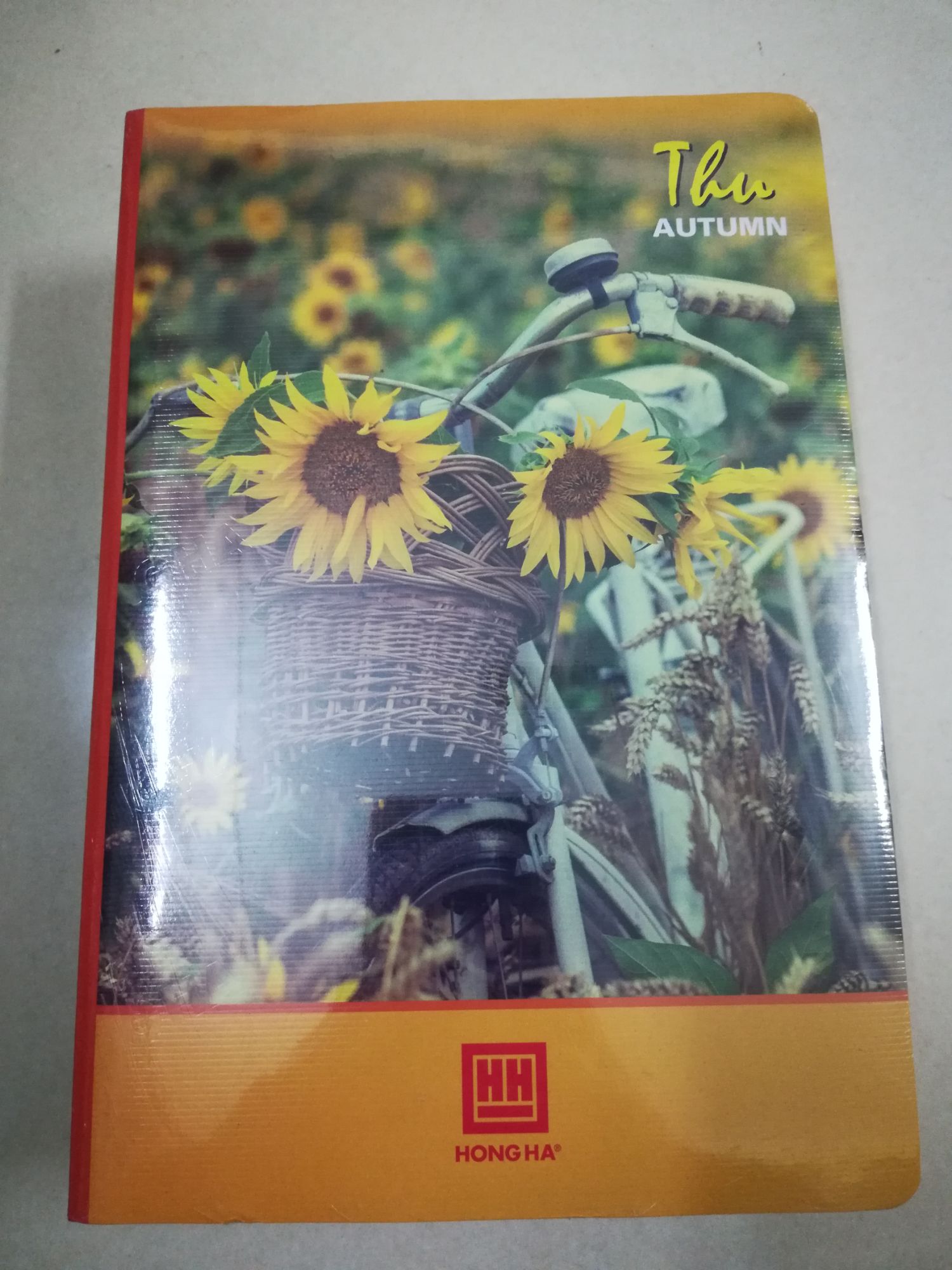 VỞ KẺ NGANG HỒNG HÀ 300 TRANG