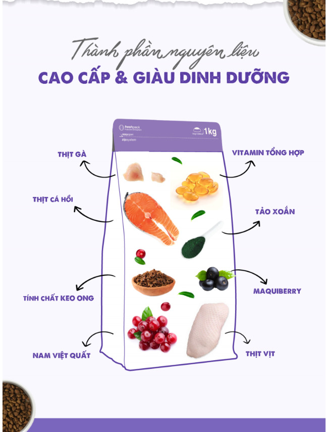 [1KG] Thức ăn hạt  Today's dinner Kitten dành cho mèo nhỏ