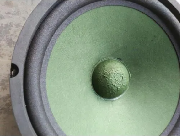 1 LOA BASS 25cm từ đơn 113mm (1 CỦ)