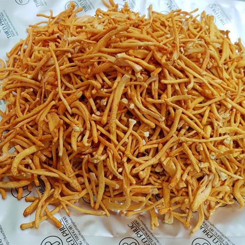 [HCM]100G Đông trùng hạ thảo khô - CAO CẤP