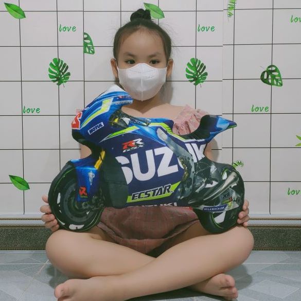 GỐI ÔM NGỦ HÌNH XE ĐUA GỐI NẰM GÒN HÌNH XE MOTO NHIỀU MẪU ĐỦ SIZE VẢI MỊN AN TOÀN CHO BÉ