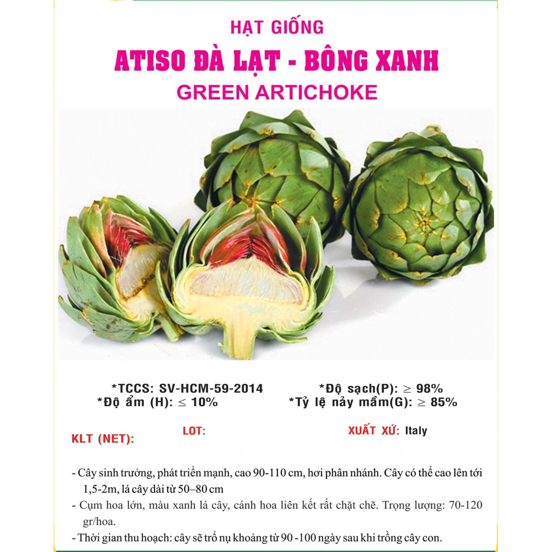 Hạt giống Atiso xanh VTS12 | Vạn Tín Store