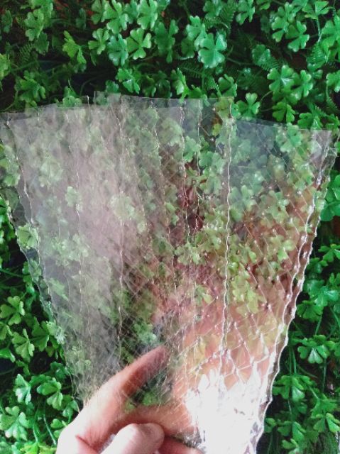 COMBO 5 LÁ GELATIN EWALD NHẬP KHẨU TỪ ĐỨC {3.4 G}