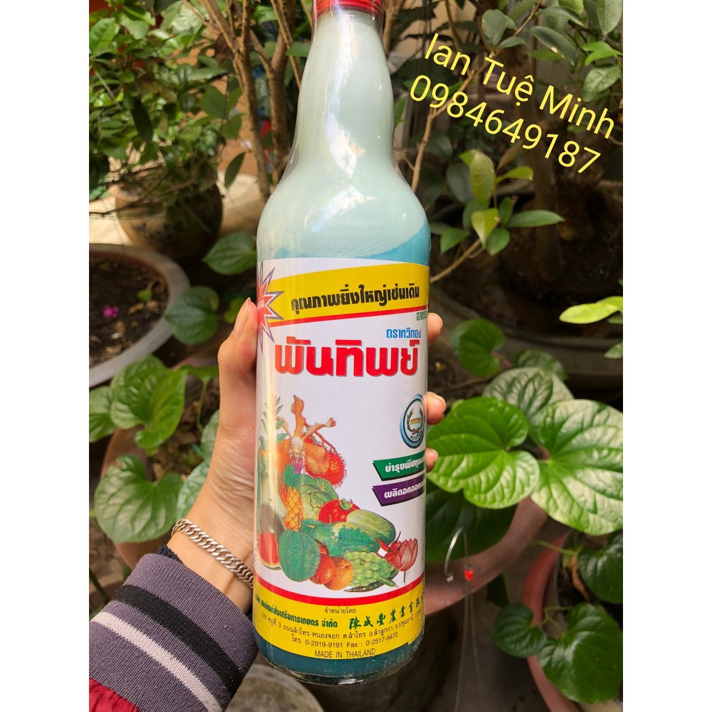 Phân sữa thái 725ml - phân bón hữu cơ - grow more - phân bón vi lượng dưỡng hoa, to hoa