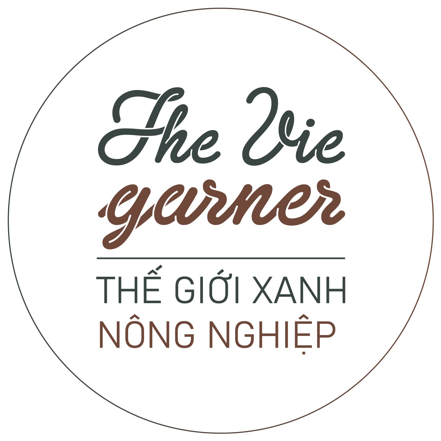 Hạt giống RẠNG ĐÔNG - Rau tần ô - 3 loại