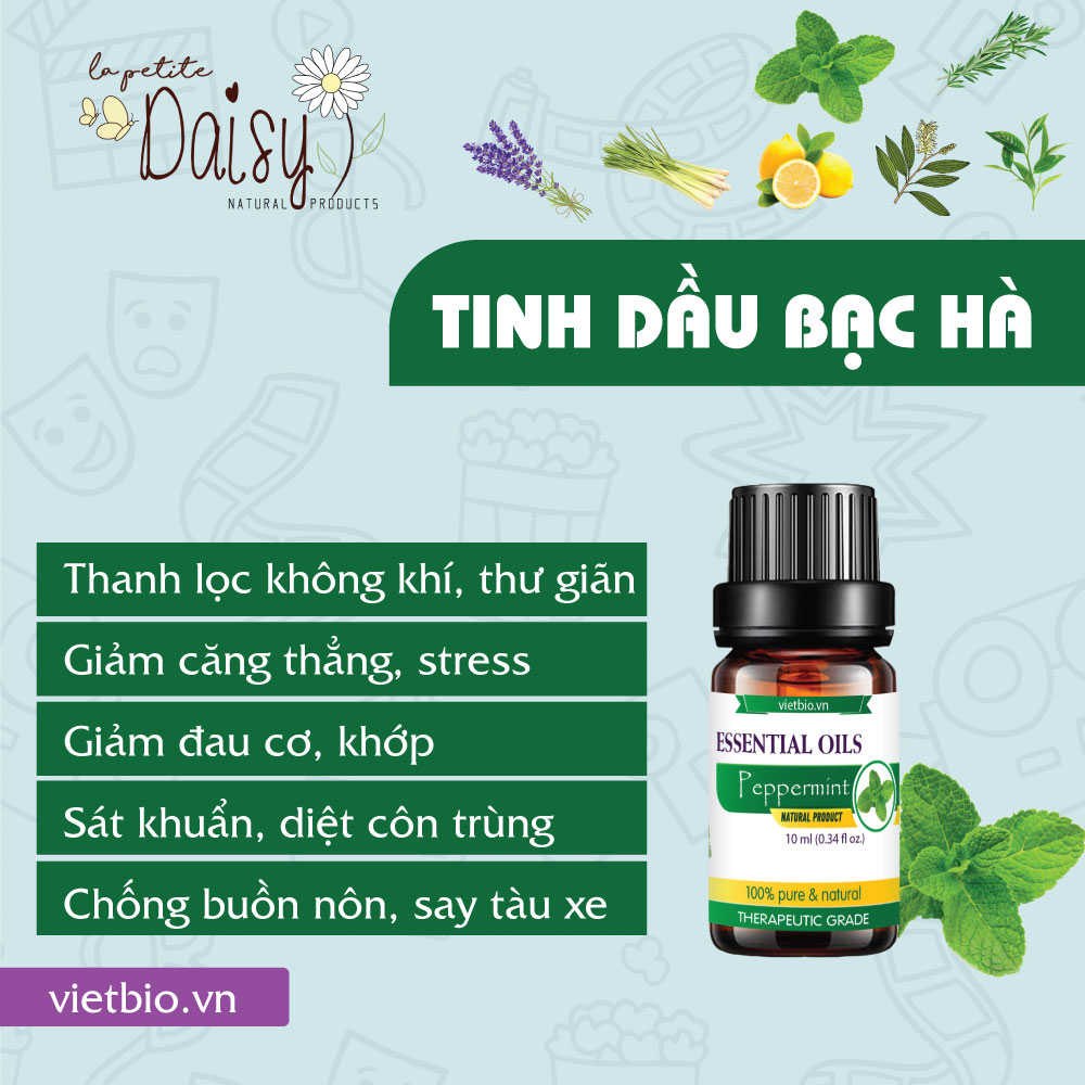 Tinh dầu bạc hà 10ml
