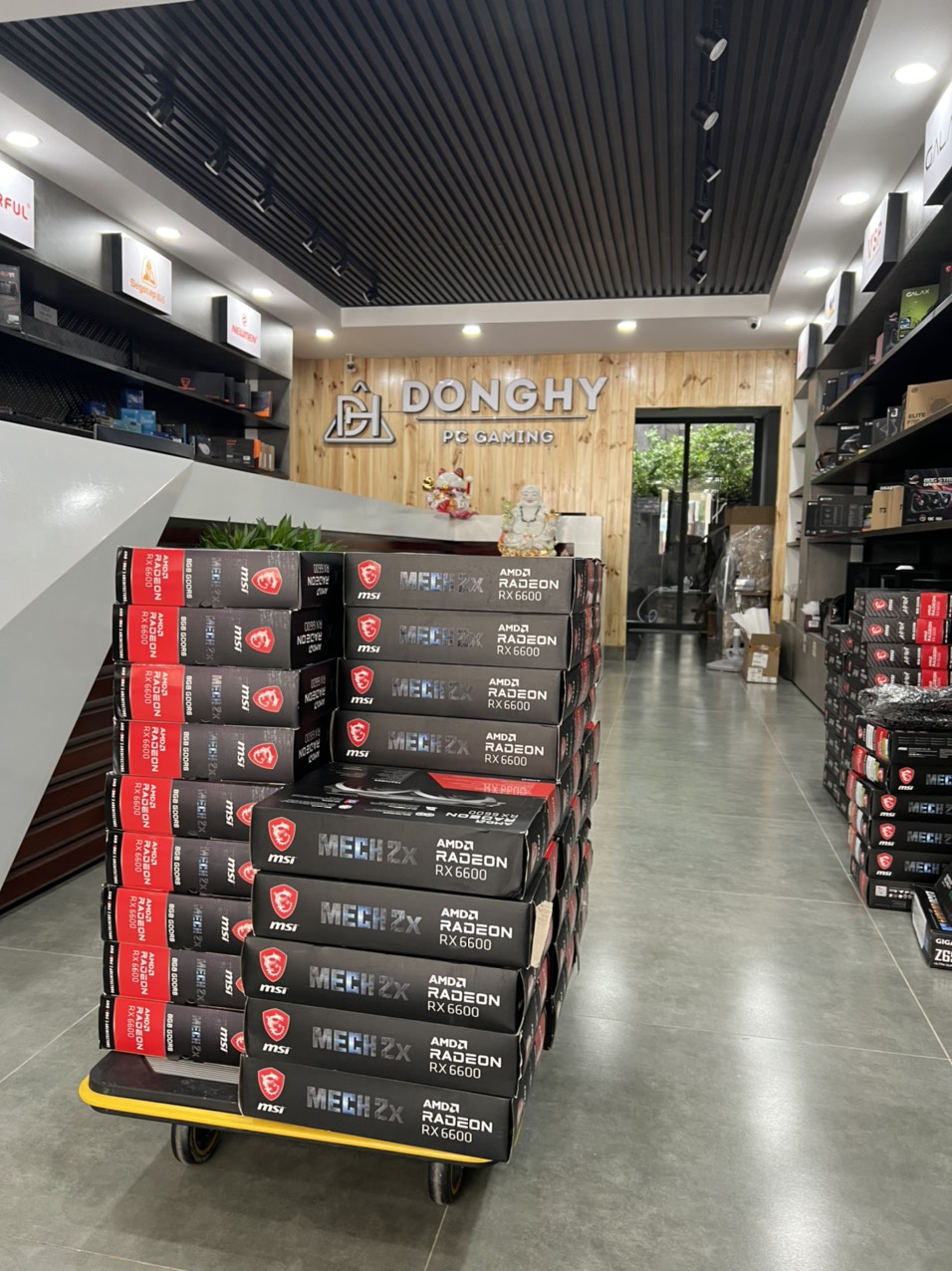 VGA MSI Radeon RX 6600 ARMOR 8G Bảo hành 1 tháng.