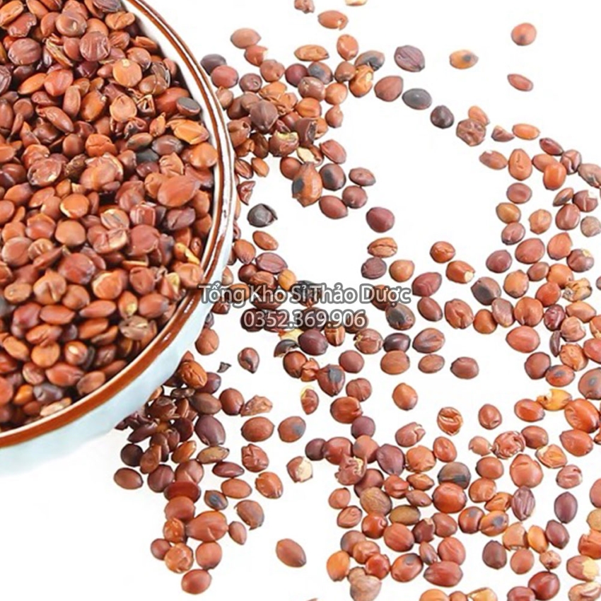 Táo Nhân 100g (Toan Táo Nhân)