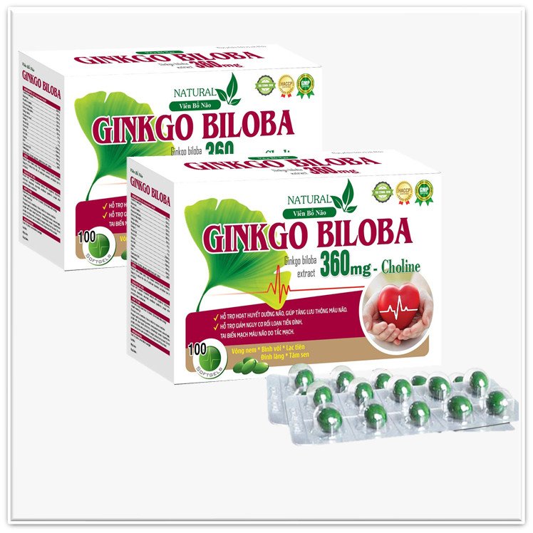 Hoạt Huyết Dưỡng Não Ginkgo Biloba giúp tăng lưu thông máu não giảm nguy cơ rối loạn tiền đình, tai biến mạch máu não do tắc mạch. Giúp ăn ngon ngủ tốt-hộp 100 viên- T&T Pharma