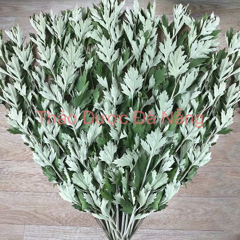 Lá Ngải Cứu khô sạch 100 gram. ( Giá Bán Buôn )