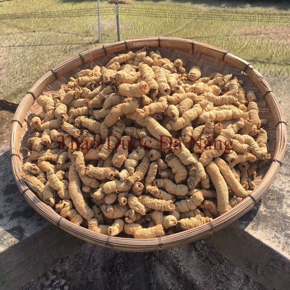 Ba Kích Tím Rừng sấy khô (Đã Rút Lõi) 100 gram.