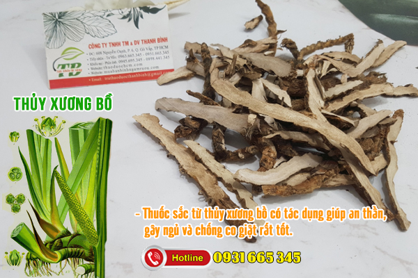 Combo 2kg thủy xương bồ khô hàng cty - đông y thanh bình