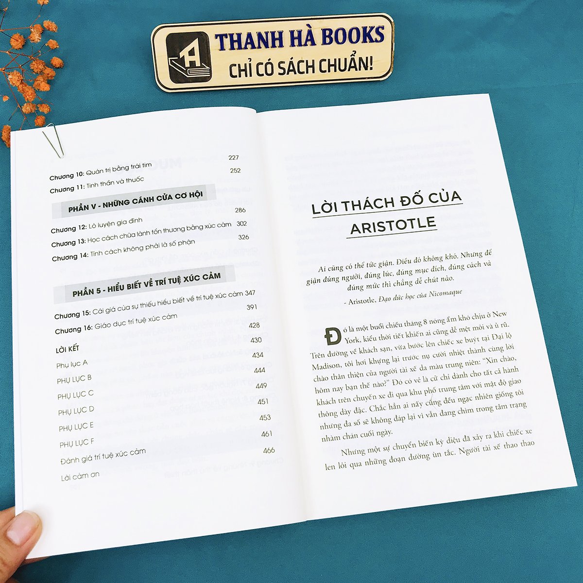 Sách Trí Tuệ Xúc Cảm- Daniel Goleman