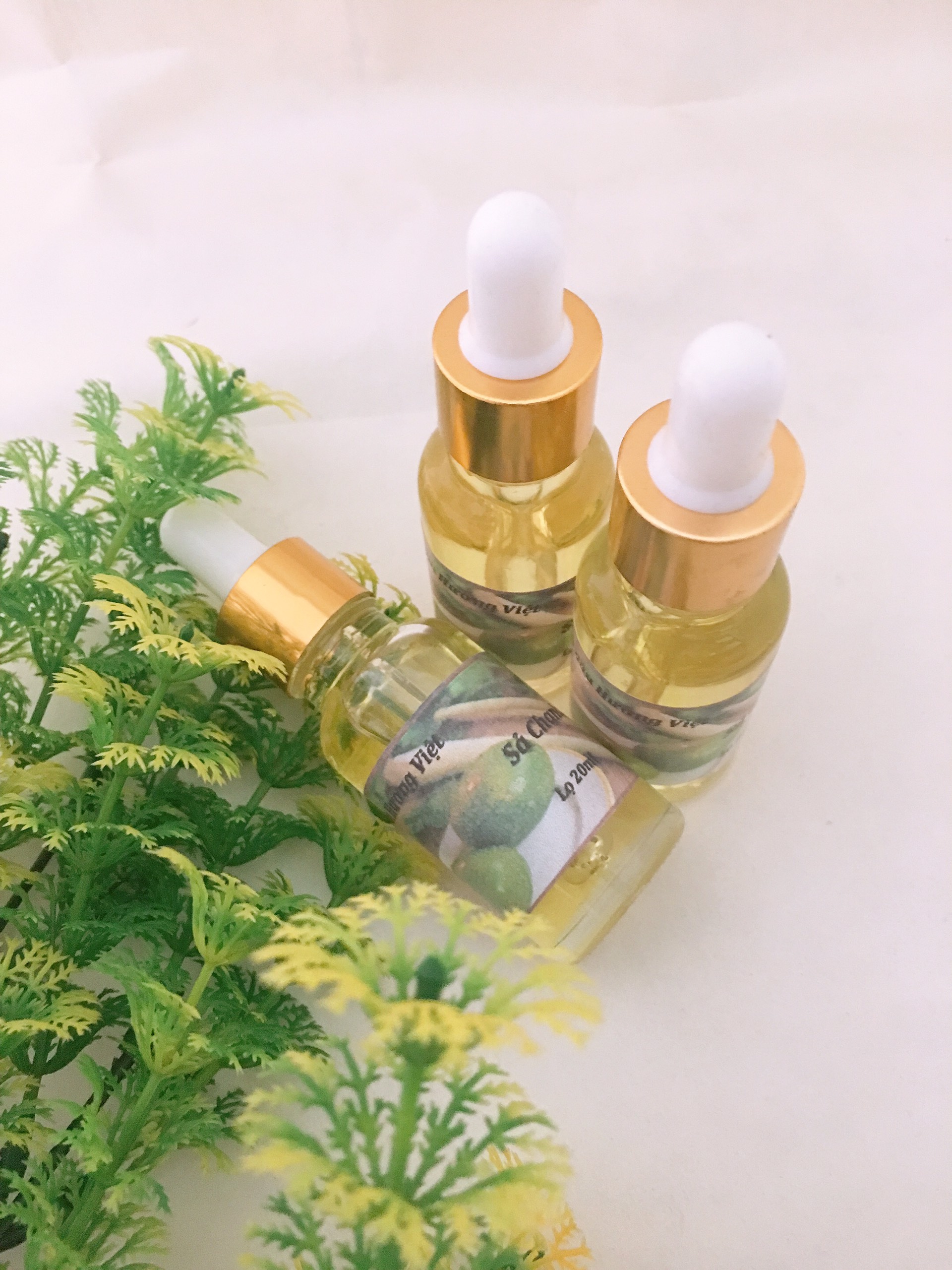 Tinh dầu Sả Chanh nguyên chất lọ 10ml