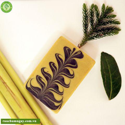 Xà Phòng Chùm Ngây MORIS Coal Moringa Tadasa