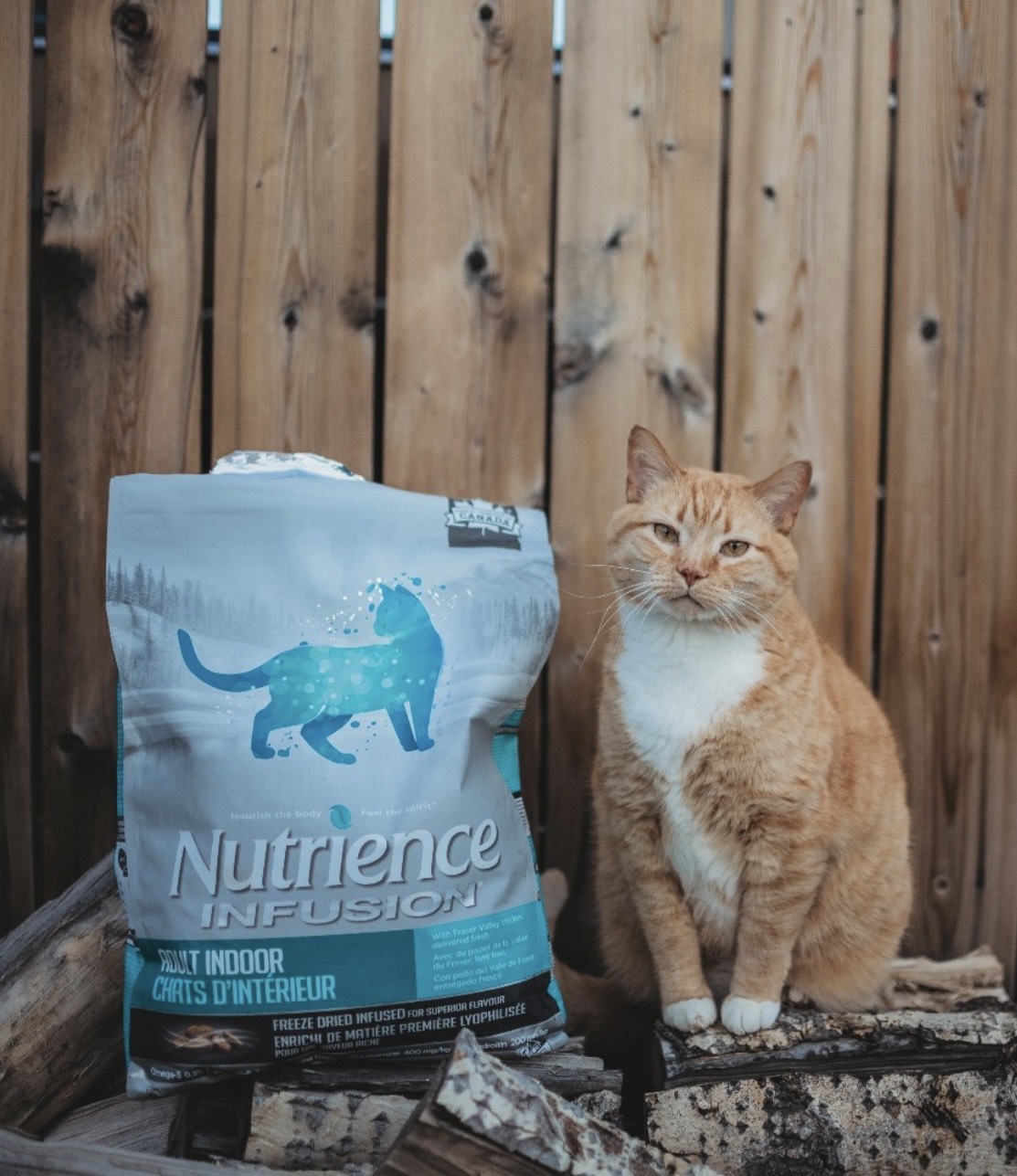 [Nguyên seal 2,27kg & 5kg] Thức ăn mèo NUTRIENCE INFUSION