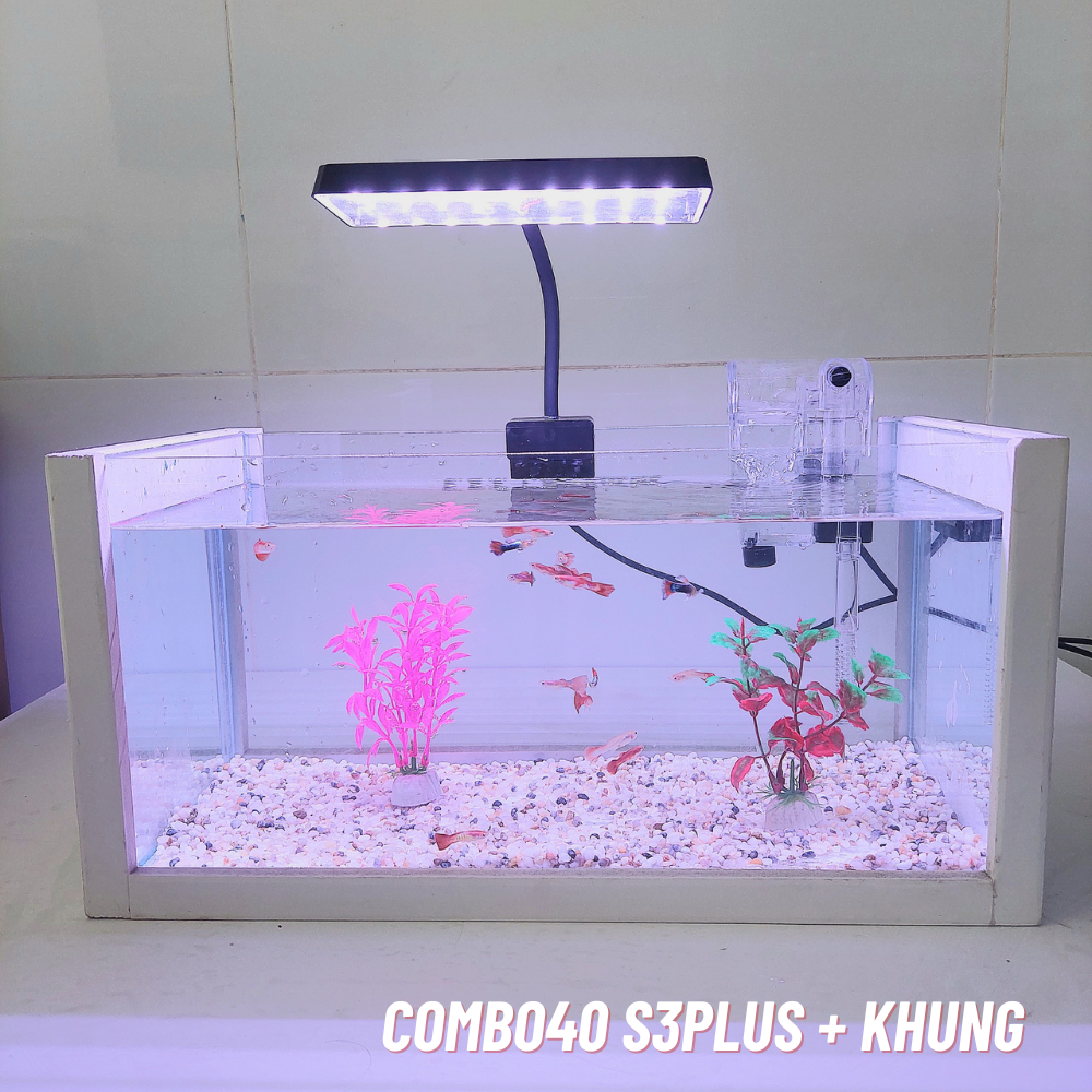 Bể cá mini 40cm COMBO đầy đủ phụ kiện