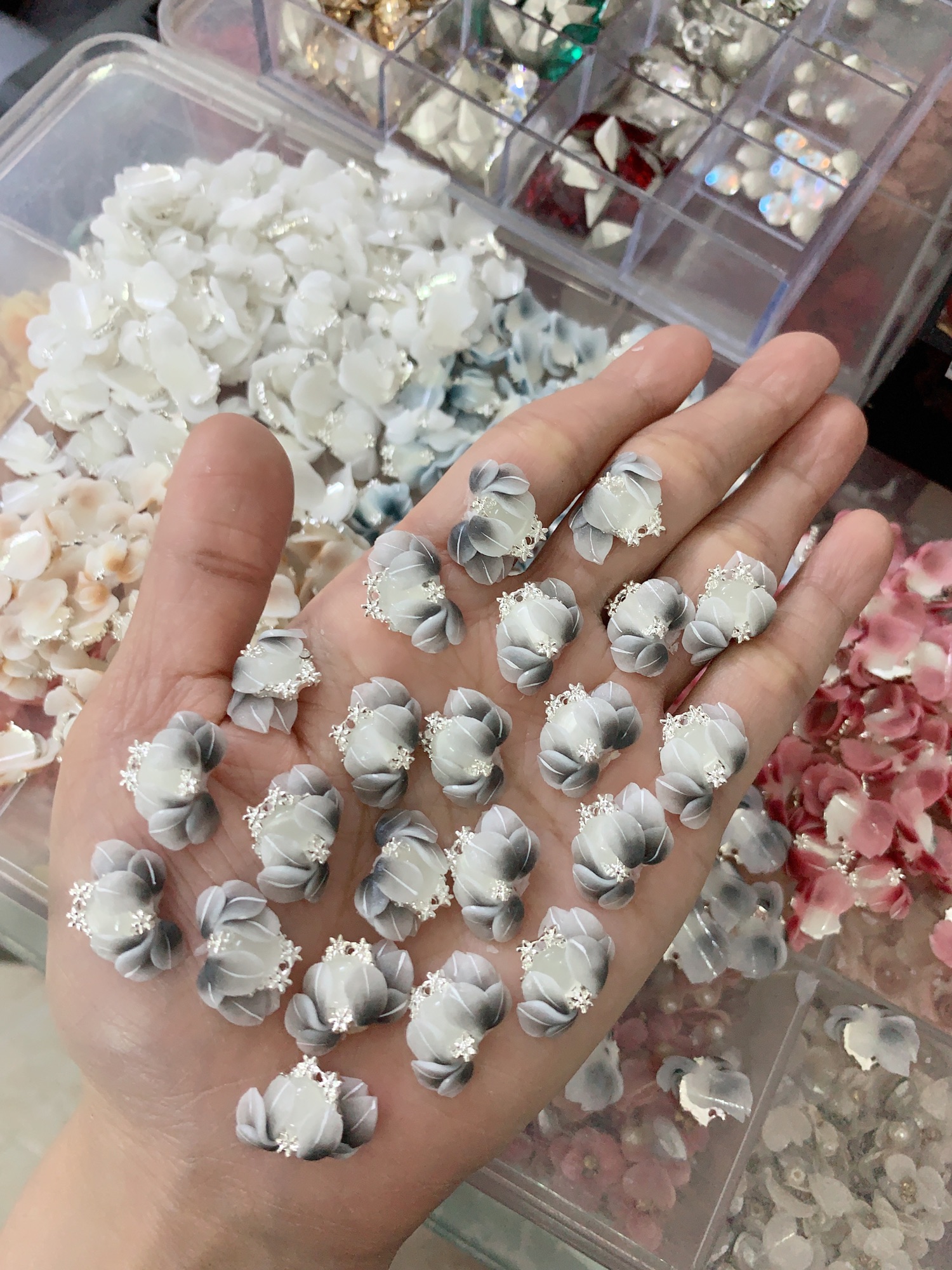Hoa bột ôm đá