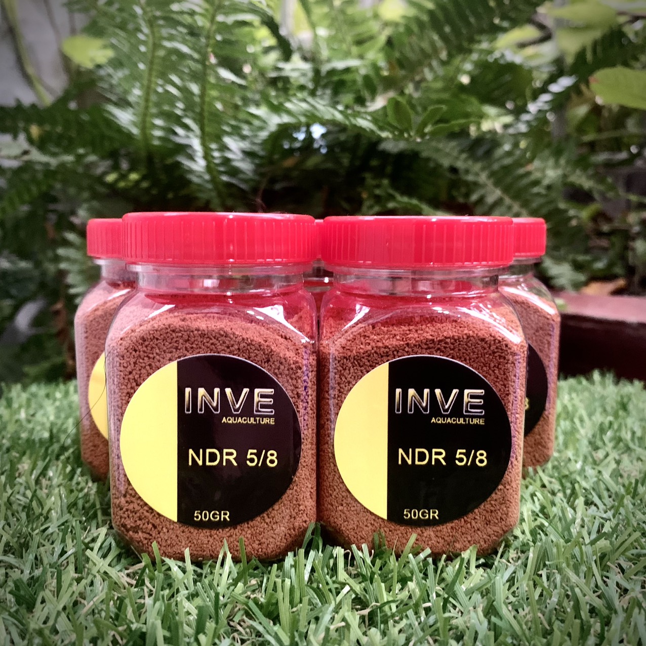 Thức ăn cho cá cảnh, Cám Thái Inve 5/8