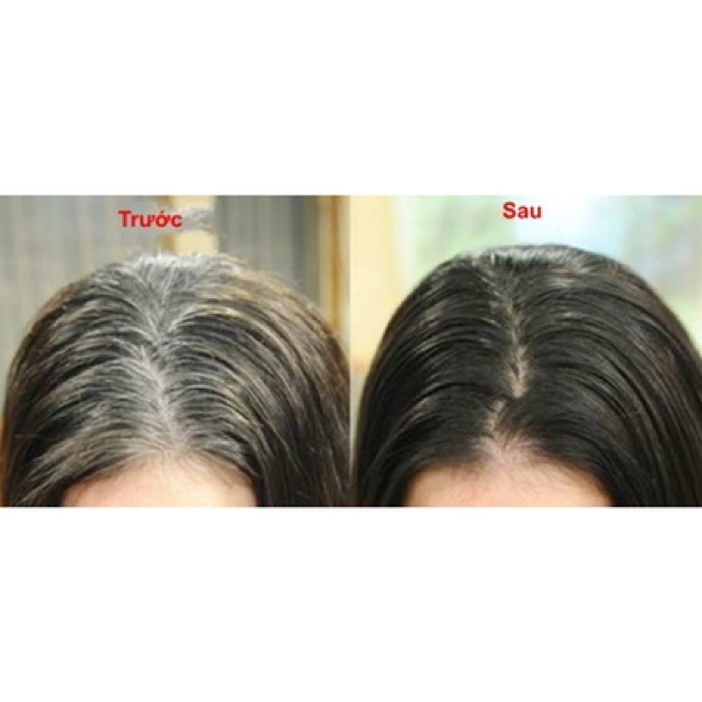 Hộp 3 gói dầu Shitinsof nhuộm tóc đen Hán Phương, Linh Chi