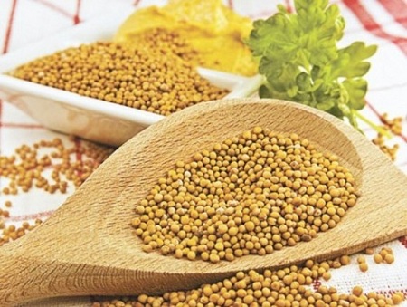 Hạt mù tạt vàng 60gr Ông Chà Và (Yellow Mustard seed)