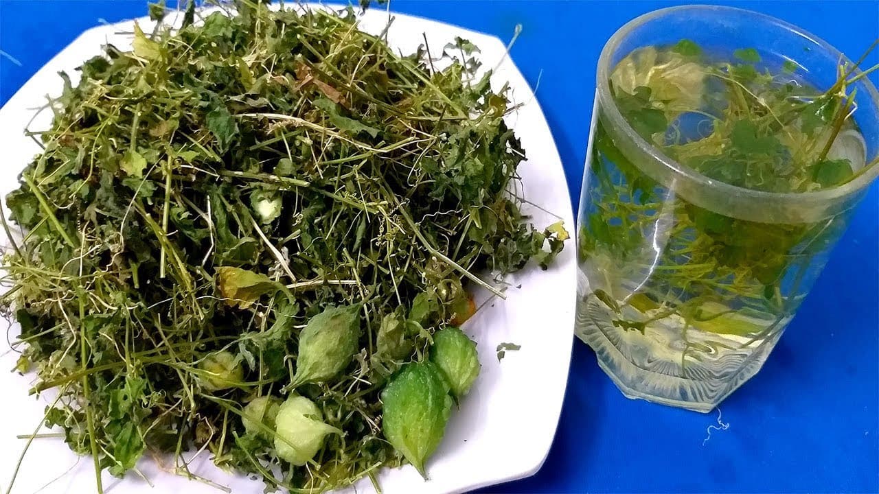 Lá mướp đắng(khổ qua) rừng phơi khô