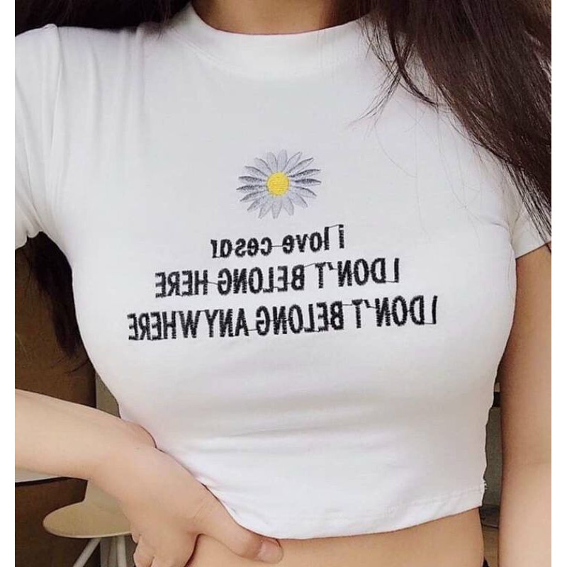 [HCM]Áo thun croptop ôm hoa cúc thêu